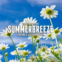 Summerbreeze III (Gee's House Party - Feel good stuff) (2016) by Soptimus Prime
