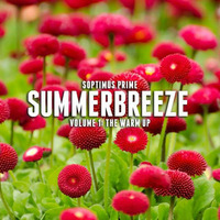 Summerbreeze I - (Gee's House Party - The warm up)  (2017) by Soptimus Prime