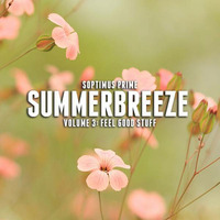 Summerbreeze III - (Gee's House Party - Feel good stuff) (2017) by Soptimus Prime