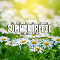 SummerBreeze Vol.I (2019) by Soptimus Prime