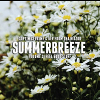 SummerBreeze Vol.III (2019) by Soptimus Prime