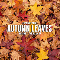 Autumn Leaves Vol.I (2020) by Soptimus Prime