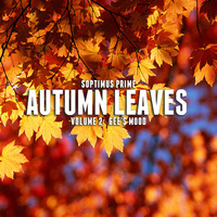 Autumn Leaves Vol.II (2020) by Soptimus Prime