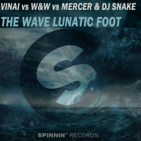 VINAI vs W&amp;W vs Mercer &amp; DJ Snake -The Wave Lunatic Foot (VENE edit) by VENE
