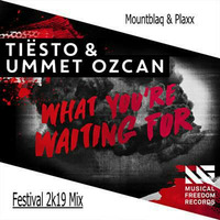 Tiesto &amp; Ummet 0zcan - What U R Waiting For (Mountblaq &amp; Plaxx  Festival 2k19 Mix) by Maddin Grabowski