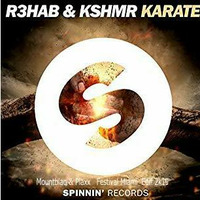R3hab &amp; KSHMR - Karate (Mountblaq &amp; Plaxx   Festival Miami  Edit 2k19) by Maddin Grabowski