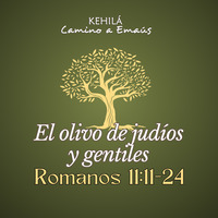 Romanos 11:11-24 | El olivo de judíos y gentiles by Kehila Camino a Emaus