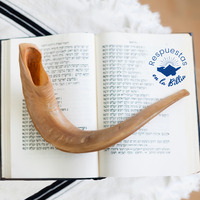 9. ¿Mandamientos de Yom Kippur? | Respuestas en la Biblia by Kehila Camino a Emaus