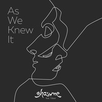 Shawne - As We Knew It (feat. T:Base) by Shawne
