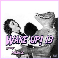 WAKE UP 13 by Pascal Guinard AKA m!ango