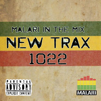 Malari in the mix - New Trax 1022 by Malari