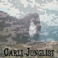 Ragga Jungle Oneshot by Carli Junglist