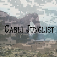 Jungle Meditations 001 by Carli Junglist