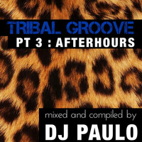 DJ PAULO-TRIBAL GROOVE Pt 3 (AFTERHOURS) Summer 2018 by DJ PAULO MUSIC