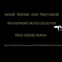 Techouse Mafia Live Stream rec 20170225-170600 1 by Wayne Djc