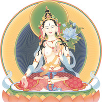 37 Übungen für einen Bodhisattva - Teil 3 by Stephan Pende Wormland