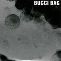 Bucci Bag 2017 by Karl G & Jamesie