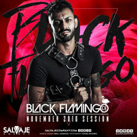 Black Flamingo Dj November 2016 House Sesion by Black Flamingo Dj
