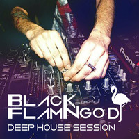 Sesion Deep House Black Flamingo Dj  2014 by Black Flamingo Dj
