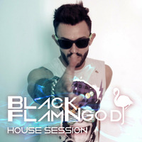 My firts sesion !!! by Black Flamingo Dj