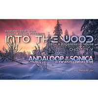 Into the Wood 5 - 23.02.2019 - Blueberry @ Into the Wood 5 by Blueberry