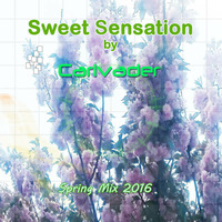 Sweet Sensation Spring 2K16 by Carlvader by Carlvader