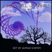 A Psychill journey Pt. 04 by Aviran's Music Place