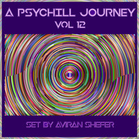 A Psychill journey Pt. 12 by Aviran's Music Place