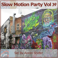 Slow Motion Party Vol 39 by Aviran's Music Place