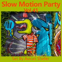 Slow Motion Party Vol 41 by Aviran's Music Place