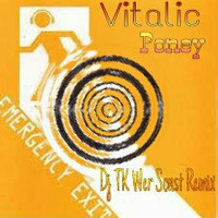 Vitalic - Poney Emergency (Dj TK Wer Sonst Remix) by Dj TK Wer Sonst