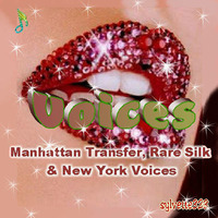VOICES [Manhattan Transfer, New York Voice, Rare Silk] by sylvia