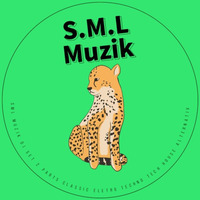 S.M.L Muzik Special Abstract, Techno Tech House Electro Downtempo  Part 2 by S.M.L MUZIK