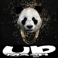 Ping Pong Panda MASHUP (DJ RALPH GUARUJA) by Ralph Danezin