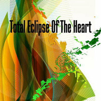 total eclipse of the heart (Cover) by Ricky Yun