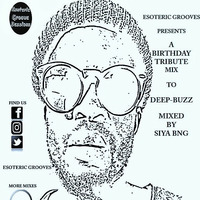 Esoteric Gooves Sessions Presents a Birthday Tribute Mix To Deep-Buzz Mixed by Siya BnG by EGS Radio Podcast