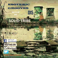 Esoteric Grooves_015_(Guest Mix by Solid Tribe) [Si-On Entertainment] by EGS Radio Podcast