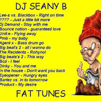 Dj Seany'b Fat Tunes 1 by djseanyb