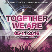 Together We Are - The Ultimate Festival Mix Vol. 8 by TOGETHER WE ARE
