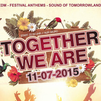 Together We Are - The Ultimate Festival Mix Vol. 2 by TOGETHER WE ARE