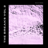 the breaks vol 2 by Beat Tribe