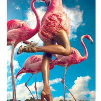 Roberto Borgo_Like A Flamingo_Sami Dee's 67 East 3rd Street by Sami Dee Forever