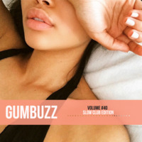 GUMBUZZ MIX #40 | [Slow Club Edition] by Gumbuzz