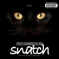 Various Artists - 3600 Seconds of Snatch (B*tch Traxx mixed by DJ Darkp*ssy) by Curtis Atchison