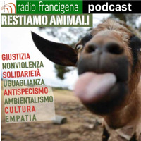Restiamo animali - 88 by Radio Francigena - La voce dei cammini