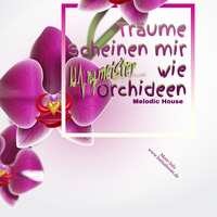 klangmeister (Ben Strauch) - Träume scheinen mir wie Orchideen |  Melodic House by klangmeister (Ben Strauch)