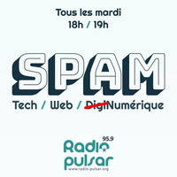 SPAM #21 - John McAfee se lance dans la French tech ?! - 20/06/17 by SPAM