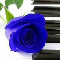 The Piano * Lovely Mellow Disco by Stevies Beauties 2
