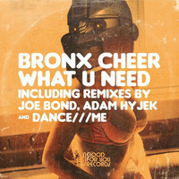 Bronx Cheer - What U Need (Adam Hyjek Remix) by Adam Hyjek