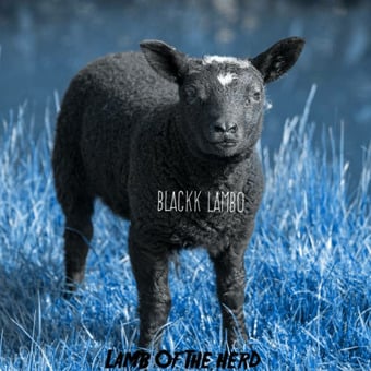 Blackk Lambo